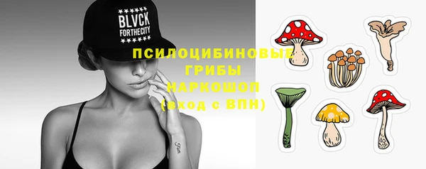 mdpv Елабуга