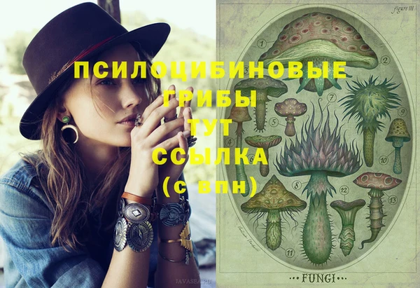mdpv Елабуга